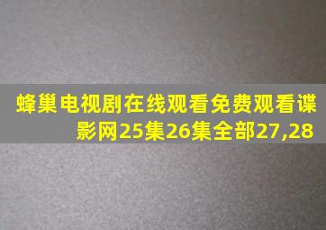 蜂巢电视剧在线观看免费观看谍影网25集26集全部27,28