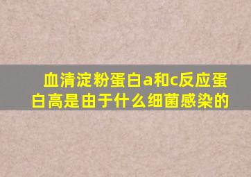 血清淀粉蛋白a和c反应蛋白高是由于什么细菌感染的