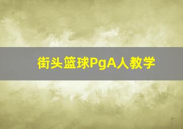 街头篮球PgA人教学