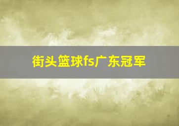 街头篮球fs广东冠军