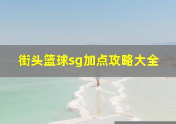 街头篮球sg加点攻略大全