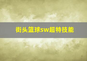 街头篮球sw超特技能