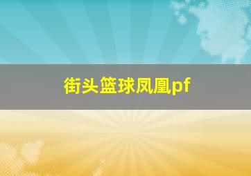 街头篮球凤凰pf