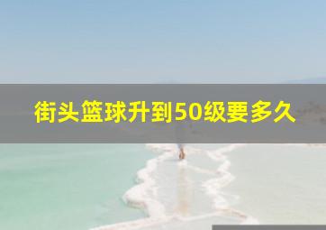 街头篮球升到50级要多久