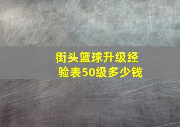 街头篮球升级经验表50级多少钱