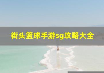 街头篮球手游sg攻略大全