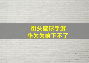 街头篮球手游华为为啥下不了