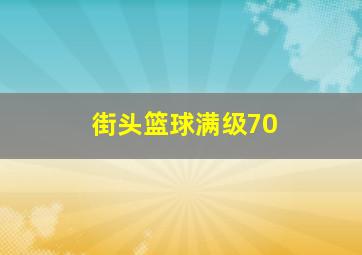 街头篮球满级70