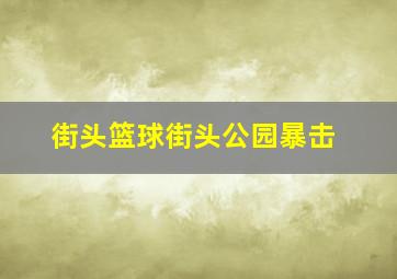 街头篮球街头公园暴击