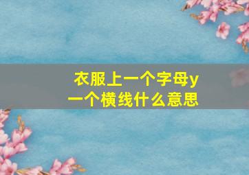 衣服上一个字母y一个横线什么意思