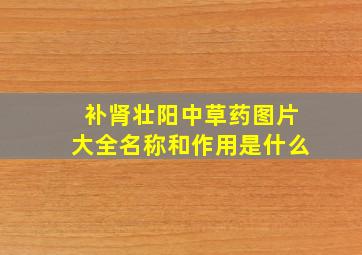 补肾壮阳中草药图片大全名称和作用是什么