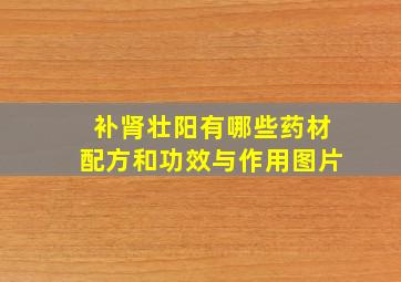 补肾壮阳有哪些药材配方和功效与作用图片