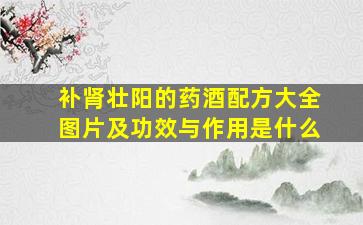 补肾壮阳的药酒配方大全图片及功效与作用是什么