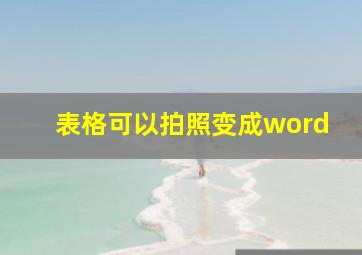 表格可以拍照变成word