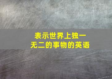 表示世界上独一无二的事物的英语