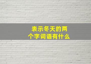 表示冬天的两个字词语有什么