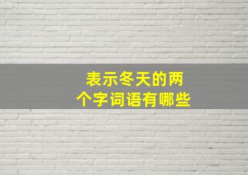 表示冬天的两个字词语有哪些