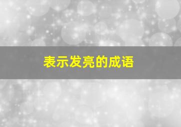 表示发亮的成语