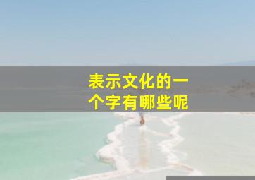 表示文化的一个字有哪些呢