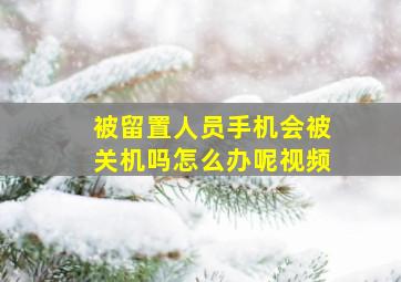 被留置人员手机会被关机吗怎么办呢视频