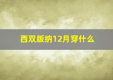 西双版纳12月穿什么