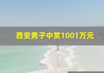 西安男子中奖1001万元