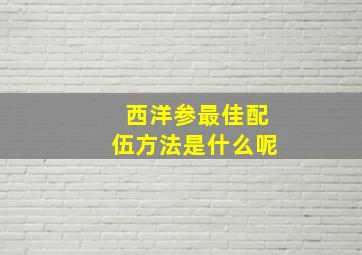 西洋参最佳配伍方法是什么呢