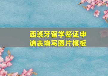 西班牙留学签证申请表填写图片模板