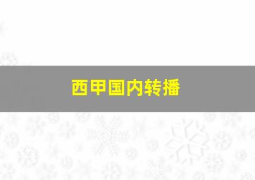 西甲国内转播