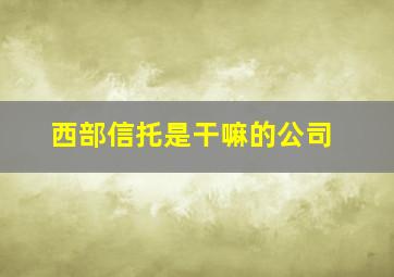 西部信托是干嘛的公司