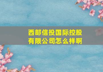 西部信投国际控股有限公司怎么样啊