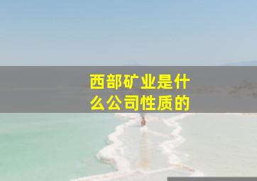 西部矿业是什么公司性质的