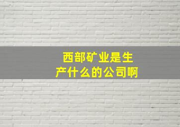 西部矿业是生产什么的公司啊