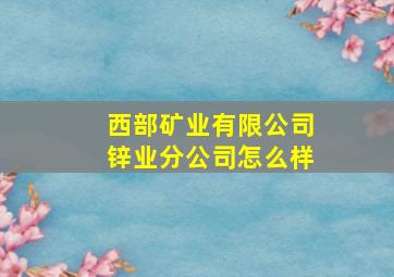 西部矿业有限公司锌业分公司怎么样