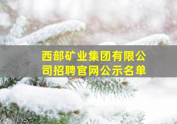 西部矿业集团有限公司招聘官网公示名单