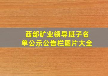 西部矿业领导班子名单公示公告栏图片大全