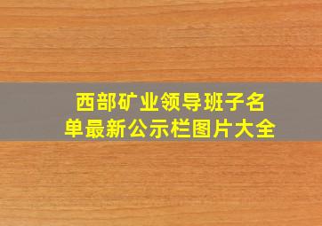 西部矿业领导班子名单最新公示栏图片大全