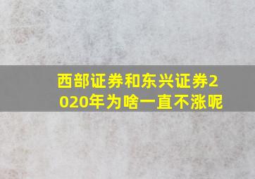 西部证券和东兴证券2020年为啥一直不涨呢