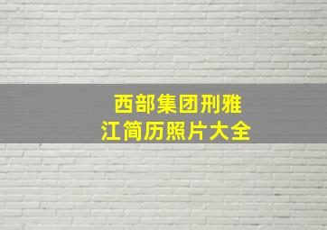 西部集团刑雅江简历照片大全