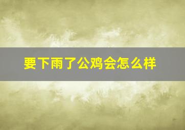 要下雨了公鸡会怎么样