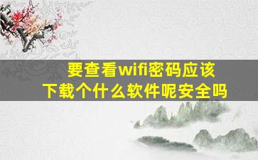 要查看wifi密码应该下载个什么软件呢安全吗