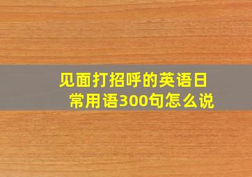 见面打招呼的英语日常用语300句怎么说