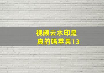 视频去水印是真的吗苹果13