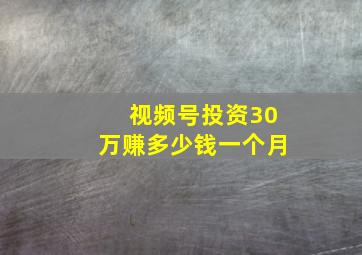 视频号投资30万赚多少钱一个月