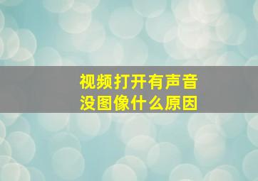 视频打开有声音没图像什么原因