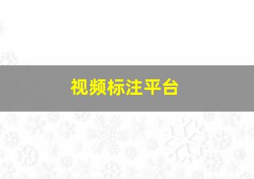 视频标注平台