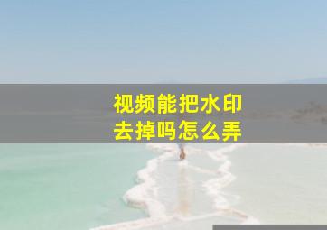 视频能把水印去掉吗怎么弄