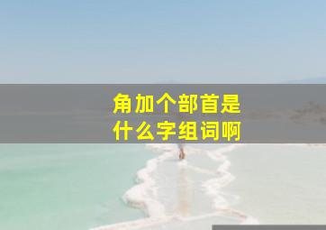 角加个部首是什么字组词啊