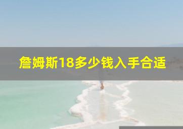 詹姆斯18多少钱入手合适