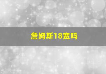 詹姆斯18宽吗